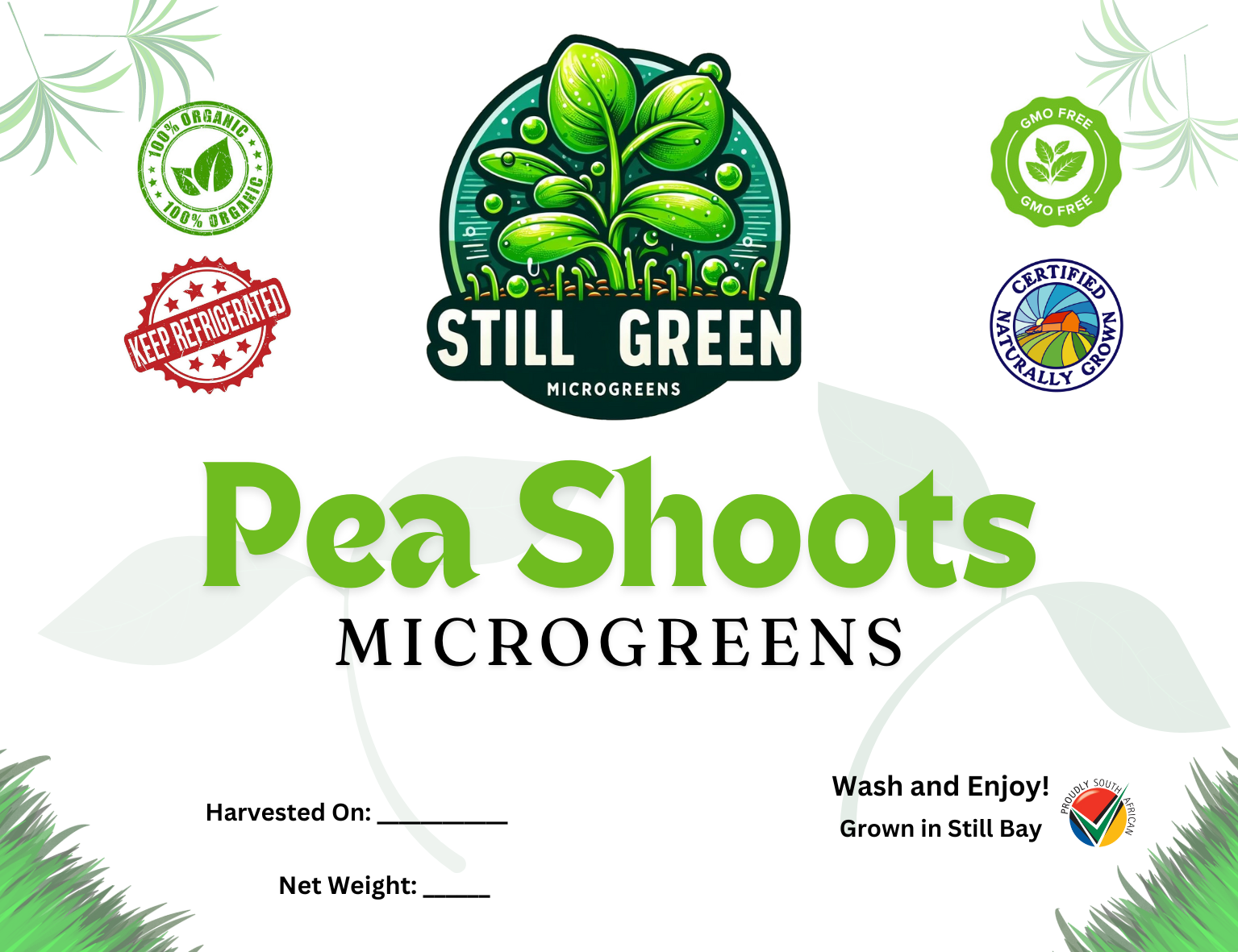 Still Green - Pea Shoots